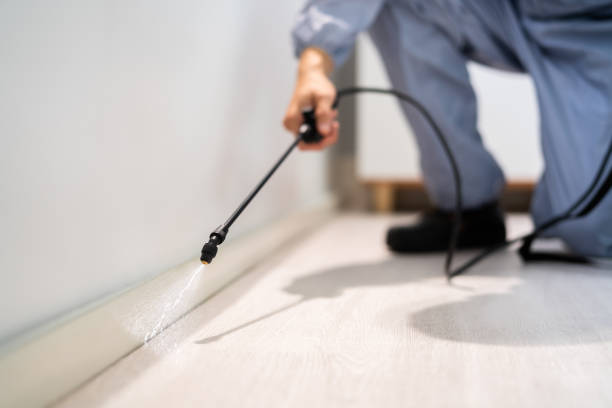 Licensed Termite Control service in Bluefield, WV - Nex Pest Control