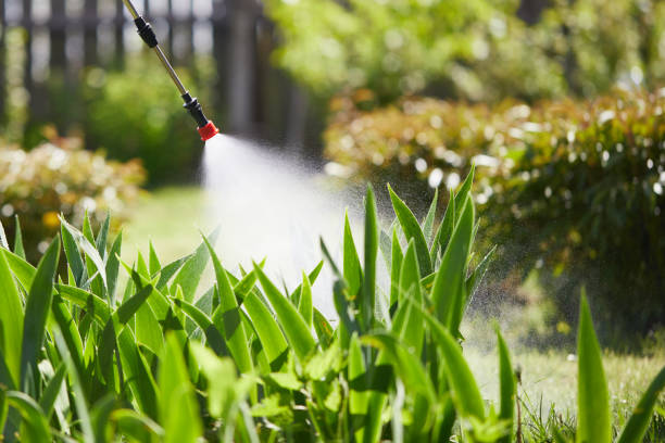 24/7 Emergency Termite Control experts in Bluefield, WV