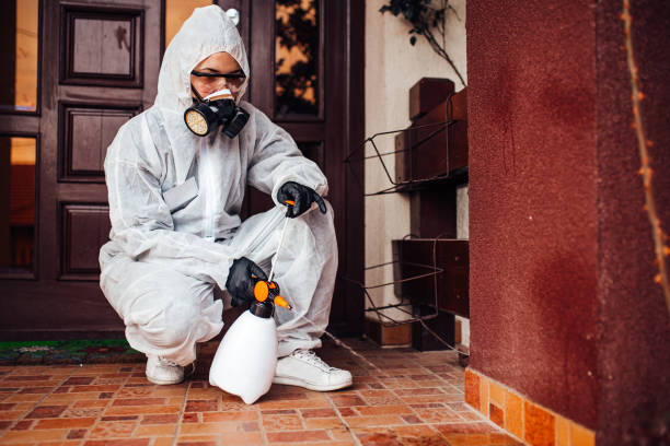 Reliable Termite Control contractor in Bluefield, WV by Nex Pest Control