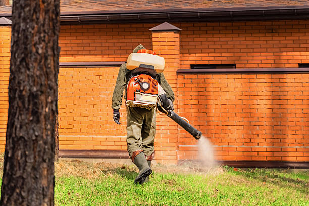 Top rated local Termite Control specialists in Bluefield, WV